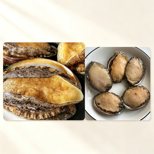 Frozen Raw Large Abalone